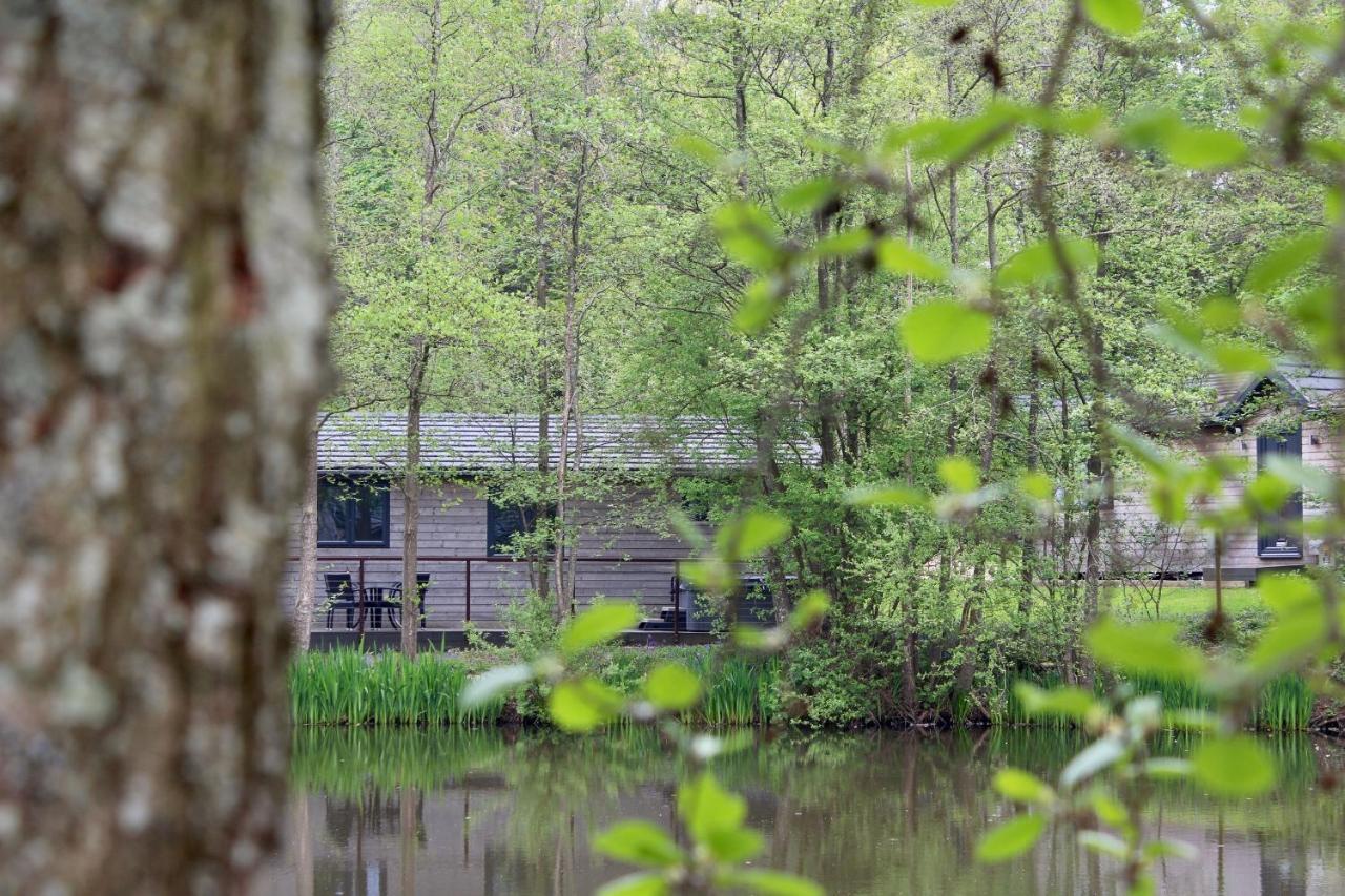 Warrenwood Country Park Ξενοδοχείο Polegate Εξωτερικό φωτογραφία