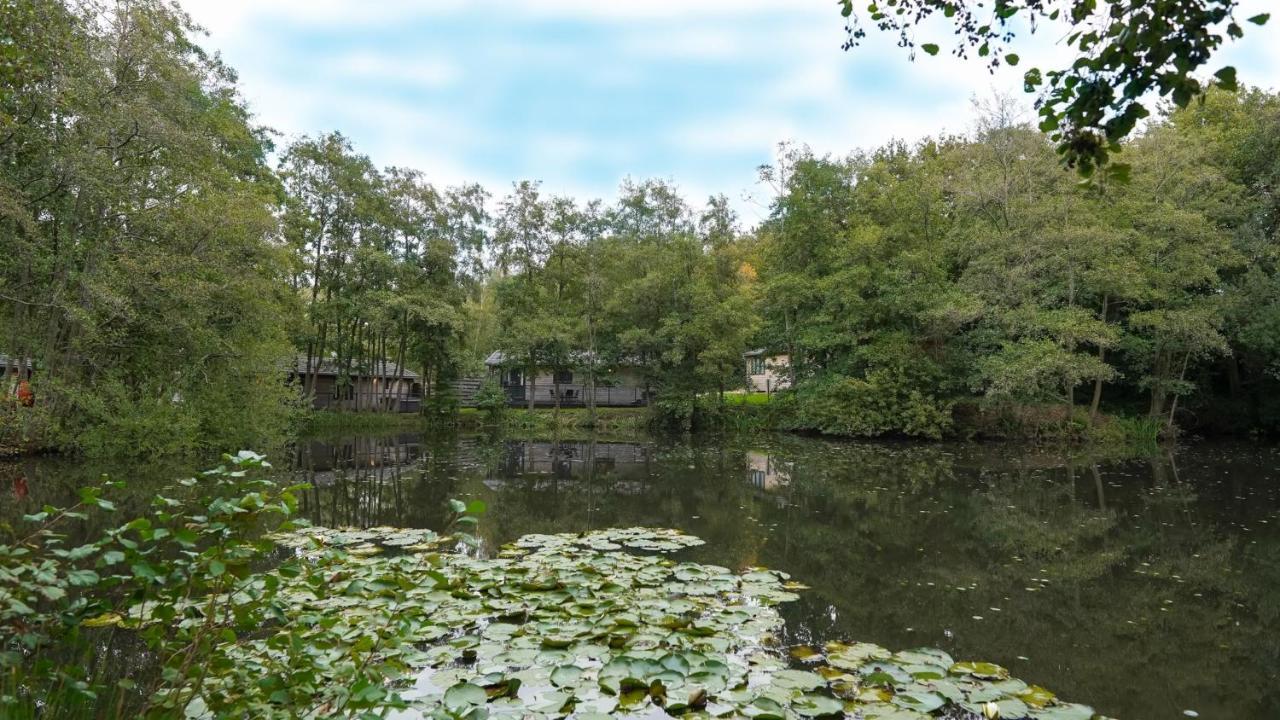 Warrenwood Country Park Ξενοδοχείο Polegate Εξωτερικό φωτογραφία